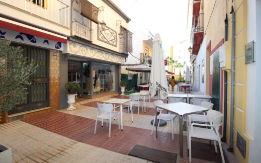 Plot in San Pedro De Alcántara