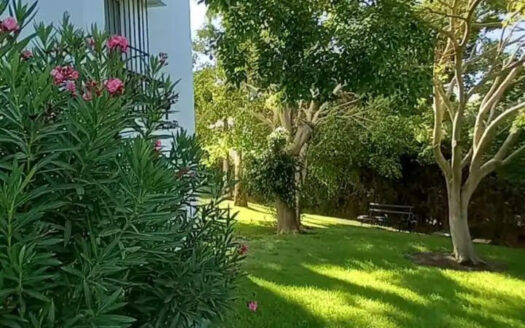 1 bedroom Apartment in Nueva Andalucía