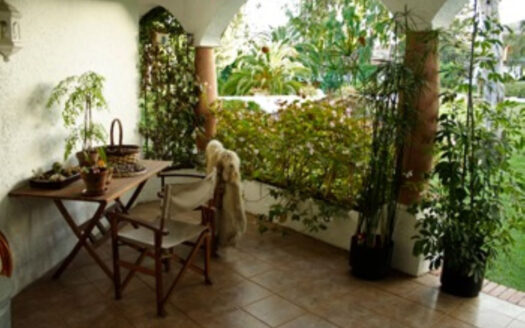 1 bedroom Apartment in Puerto Banús