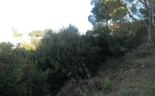 Plot in Fuengirola