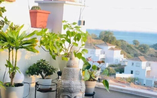 1 bedroom Apartment in Estepona