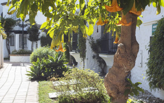 2 bedroom House in El Paraiso