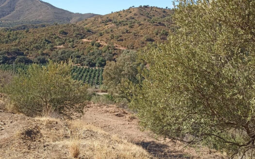 Plot in Mijas Costa