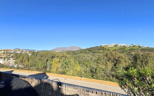 2 bedroom Apartment in Casares Playa