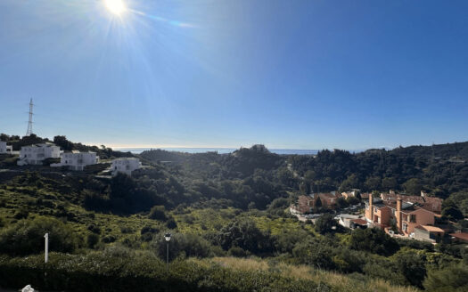 1 bedroom Apartment in Estepona