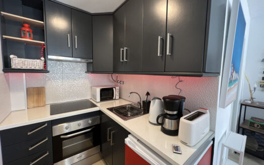 1 bedroom Apartment in Puerto De Cabopino