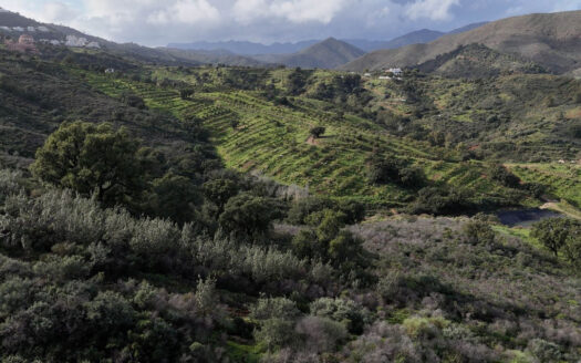 Plot in La Cala Golf