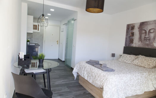Apartment in Arroyo De La Miel