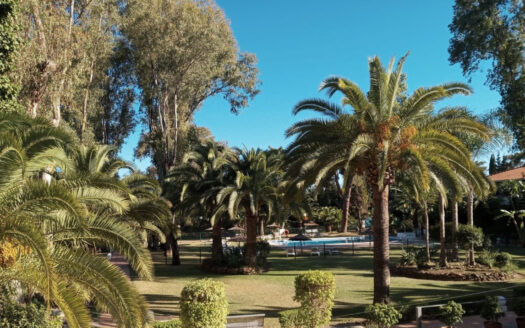 1 bedroom Apartment in Puerto Banús
