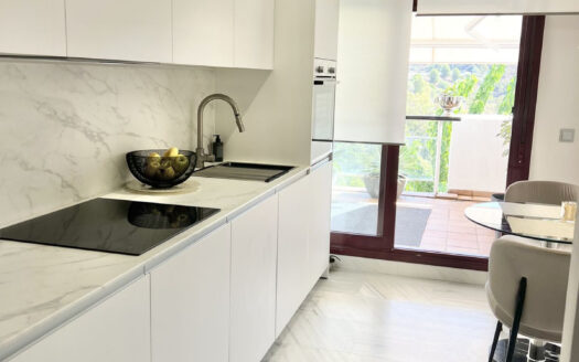 1 bedroom Apartment in Benahavís