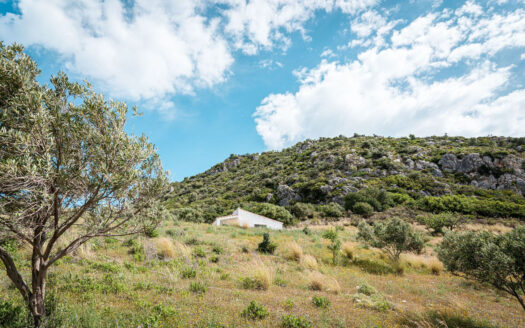 1 bedroom House in Casares