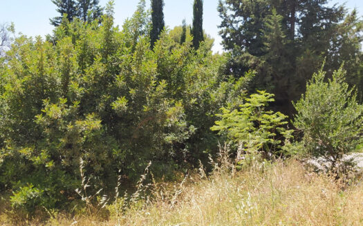 Plot in Mijas