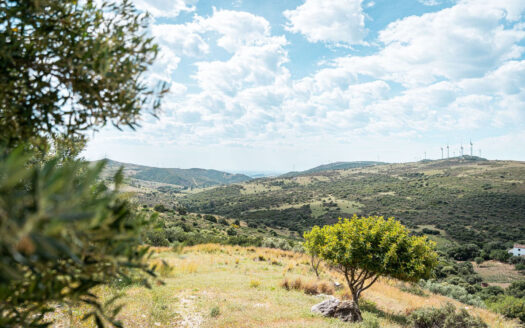 1 bedroom House in Casares