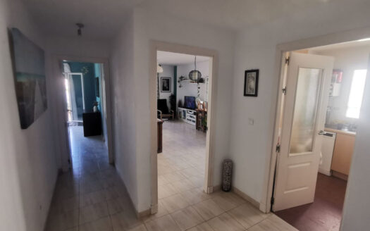 1 bedroom Apartment in Cerros Del Aguila