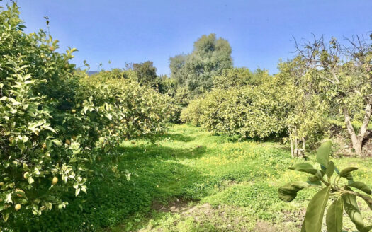 2 bedroom House in Estepona