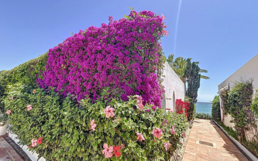 1 bedroom Apartment in The Golden Mile