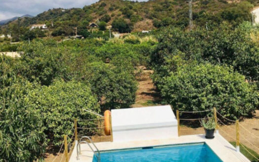 2 bedroom House in Estepona