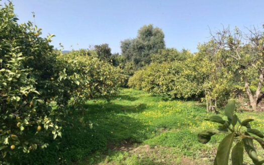 2 bedroom House in Estepona