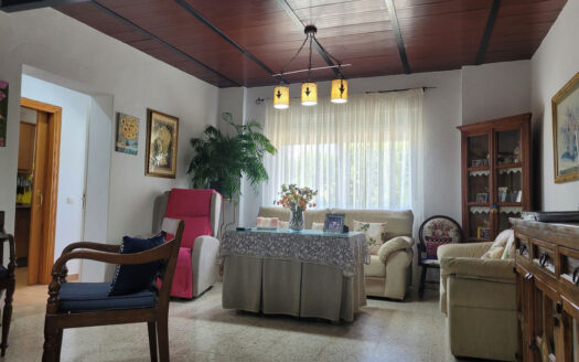 5 bedroom House in Estepona