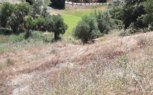 Plot in Mijas Golf