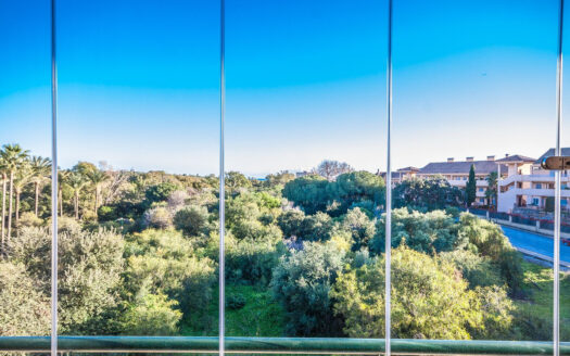 2 bedroom Apartment in Elviria