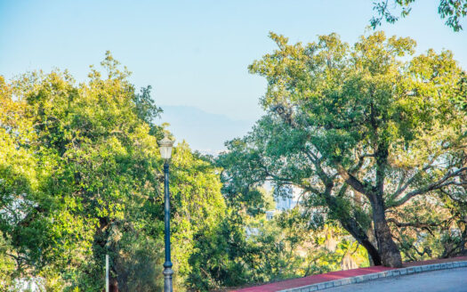 Plot in La Mairena