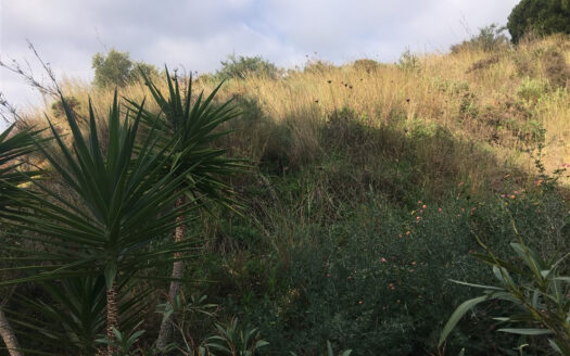Plot in Mijas