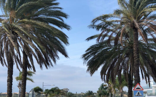 2 bedroom Apartment in Cancelada