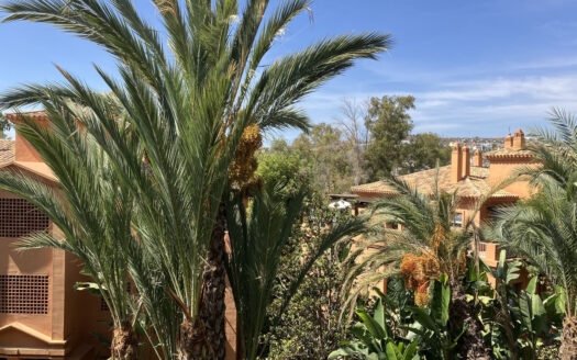 2 bedroom Apartment in Atalaya