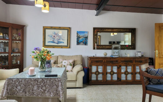 5 bedroom House in Estepona