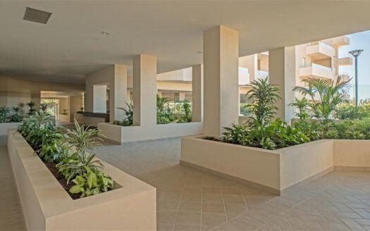 3 bedroom Apartment in La Campana