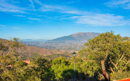 Plot in La Mairena