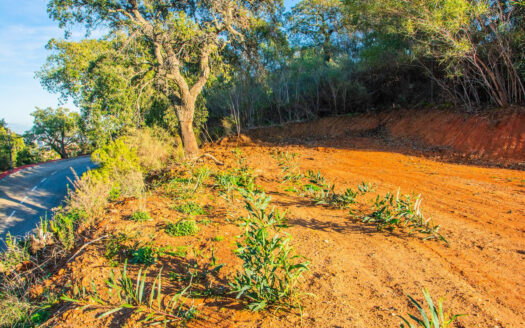 Plot in La Mairena