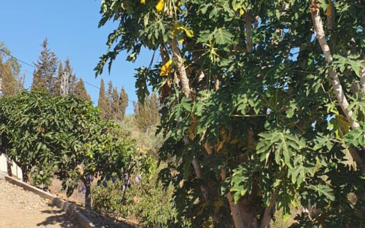 3 bedroom House in Mijas