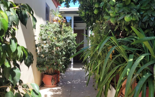 5 bedroom House in Estepona