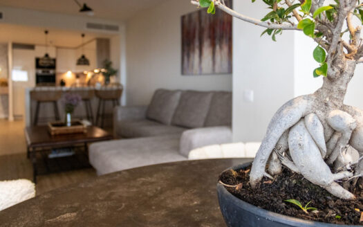 2 bedroom Apartment in Mijas