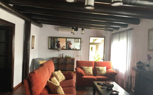 5 bedroom House in Estepona