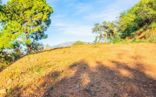 Plot in La Mairena