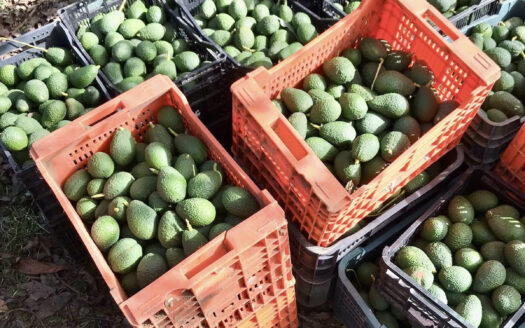 2 bedroom House in Estepona