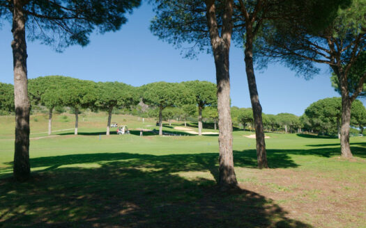2 bedroom Apartment in Cabopino