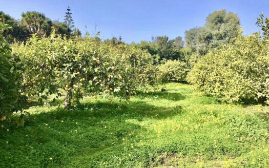 2 bedroom House in Estepona